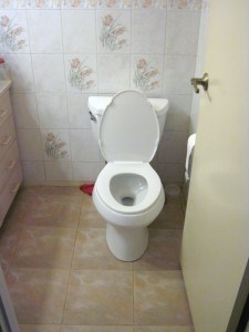 Kohler Wellworth elongated toilet with advanced flushing!