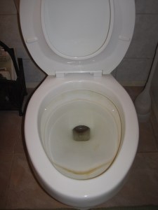 Pitted & discolored bowl, persistent mineral stains, hours of cleaning challenges. After 22 years, this is as good as it gets.