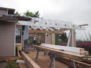 Rafters going up over the back lanai and the familyroom using the existing pillars and walls. We primed the beams before they were put up, and if we'd had enough time (and dry weather) we would have painted them the final color too.