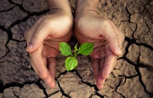 Image of a budding plant growing out of a dry cracked lakebed with a pair of hands protecting it from the environment. | MilitaryFinancialIndependence.com