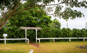 Image of Green World Coffee Farm coffee trees by their parking lot, where the author has held many financial meetups (with coffee) over the years. | MilitaryFinancialIndependence.com